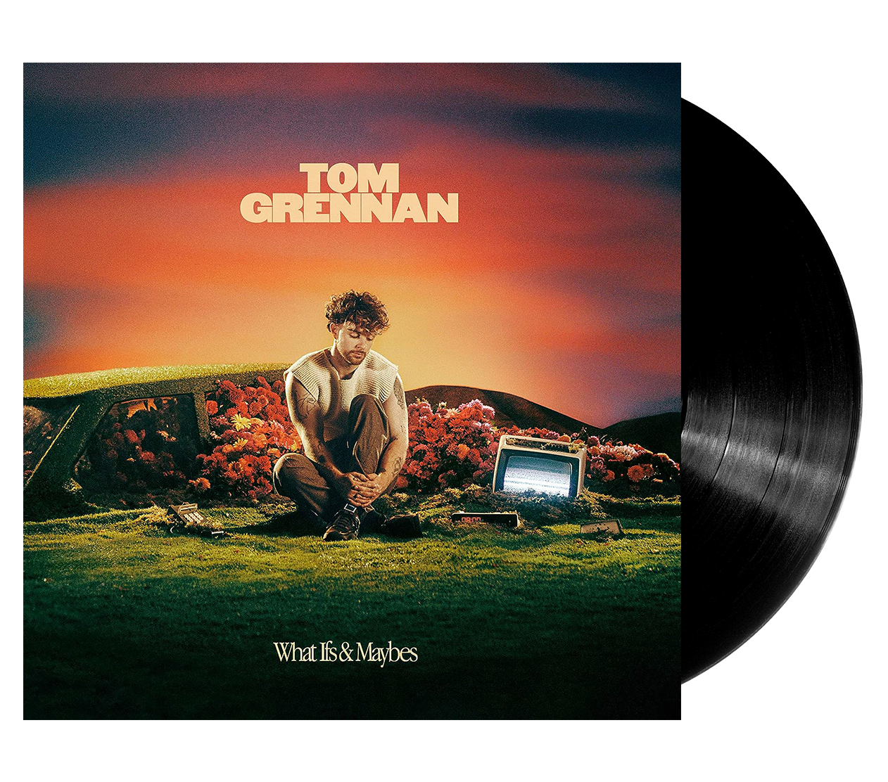Image of Artwork for Tom Grennan's What Ifs & Maybes (LP)